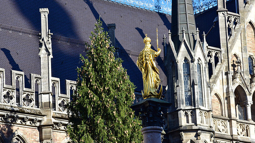 Bilder vom Christbaum-Aufbau am Marienplatz: Seit Montagmorgen steht die 30-Meter-Fichte im Herzen der Stadt.
