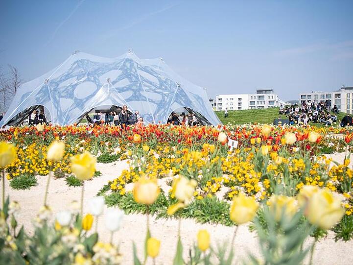 Blühende Tulpen bei der Eröffnung der Bundesgartenschau in Heilbronn. Rund 30 Prozent der Buga-Flächen werden automatisch bewässert.