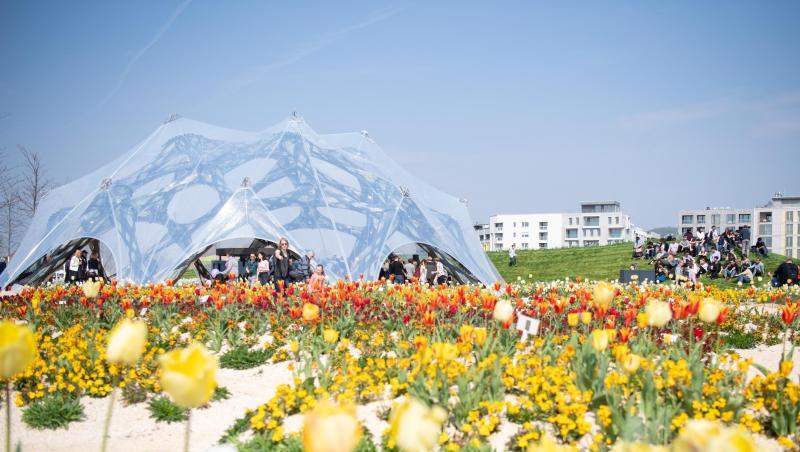 Blühende Tulpen bei der Eröffnung der Bundesgartenschau in Heilbronn. Rund 30 Prozent der Buga-Flächen werden automatisch bewässert.