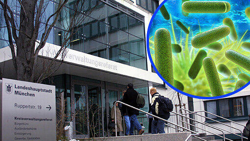 Im Kreisverwaltungsreferat herrscht akute Gesundheitsgefahr: In den Wasserleitungen, Duschen und in der Cafeteria wurden Legionellen festgestellt. Im Kreisverwaltungsreferat herrscht akute Gesundheitsgefahr: In den Wasserleitungen, Duschen und in der Cafeteria wurden Legionellen festgestellt.