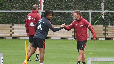 Will sich unter Julian Nagelsmann (r.) neu beweisen: Youngster Joshua Zirkzee.