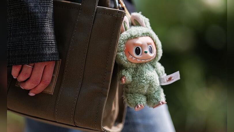 Gew&ouml;hnungsbed&uuml;rftig, ungemein beliebt und meist vergriffen: Labubu-Pl&uuml;schfiguren.