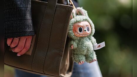 Gew&ouml;hnungsbed&uuml;rftig, ungemein beliebt und meist vergriffen: Labubu-Pl&uuml;schfiguren.