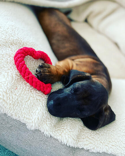 Amy