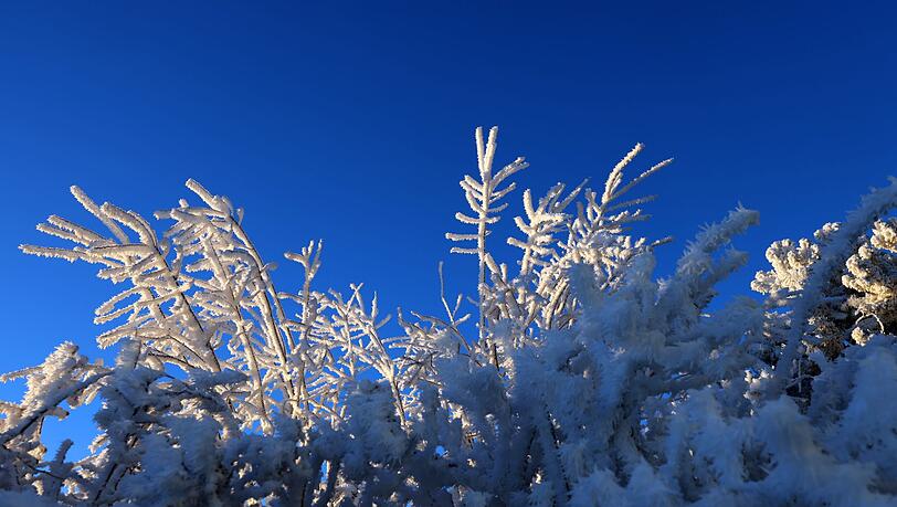 Der Junge hatte sich aus Angst vor Monstern in seinem Zimmer unter einer Hecke im Schnee versteckt. (Symbolbild)