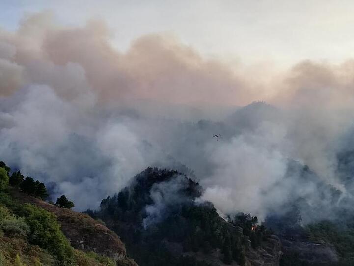 In den Bergen auf Gran Canaria ist erneut ein schwerer Waldbrand ausgebrochen.