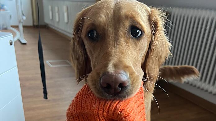 Frida: Mein Hund ist der Beste, weil sie alles apportiert und mir bringt. Ob Mütze, Eier oder Schlüsselbund.