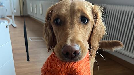 Frida: Mein Hund ist der Beste, weil sie alles apportiert und mir bringt. Ob Mütze, Eier oder Schlüsselbund.