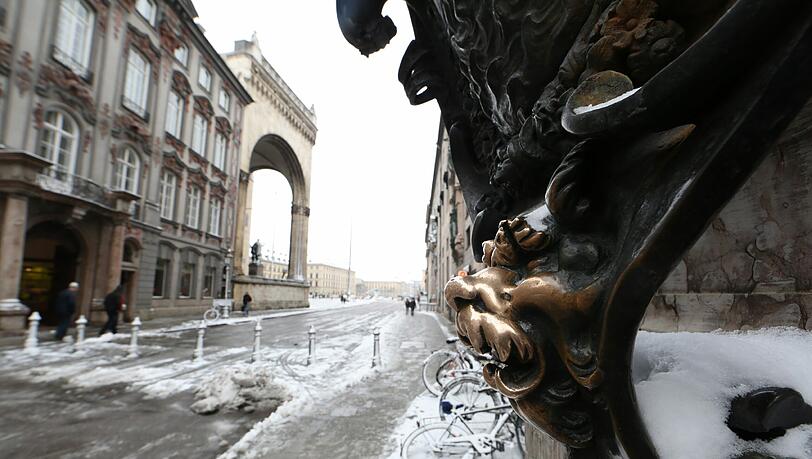 Das Glück kennt keine Jahreszeit: Die Löwennasen an der Residenz. Das Glück kennt keine Jahreszeit: Die Löwennasen an der Residenz.