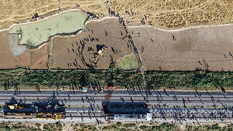 Ein Bagger hebt eine Grube aus, um den Kadaver eines Elefanten zu begraben, der bei der Kollision mit einem Zug ums Leben kam.