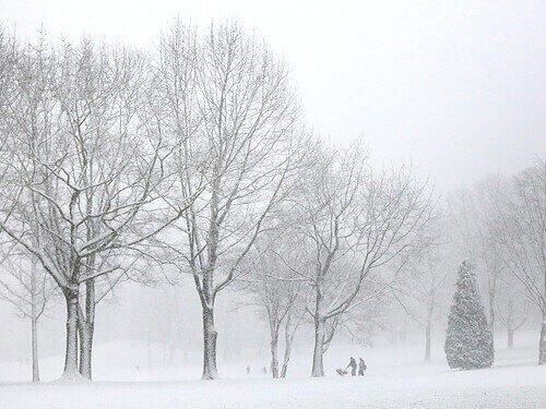 Blitzwinter in NRW: Die Bilder vom Schneechaos