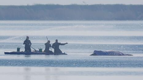 Eine private Initiative hat mit einem Rettungsversuch begonnen.