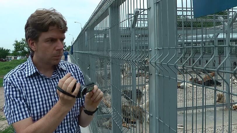 Immer im Einsatz: Claudiu Dumitriu dokumentiert die Zustände in einem rumänischen Tierheim.
