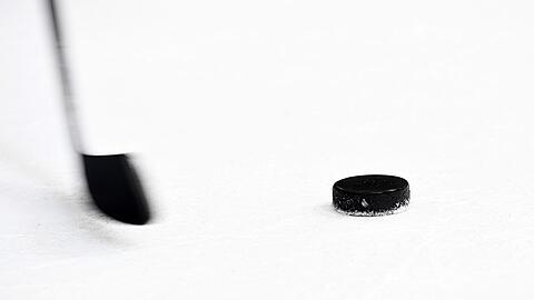 Der neue Verteidiger Alex Green bringt Erfahrung aus der besten Eishockey-Liga mit.