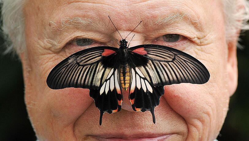 Zu seinem 100. Geburtstag erhielt David Attenborough einen pers&ouml;nlichen Brief von K&ouml;nig Charles. (Archivfoto)