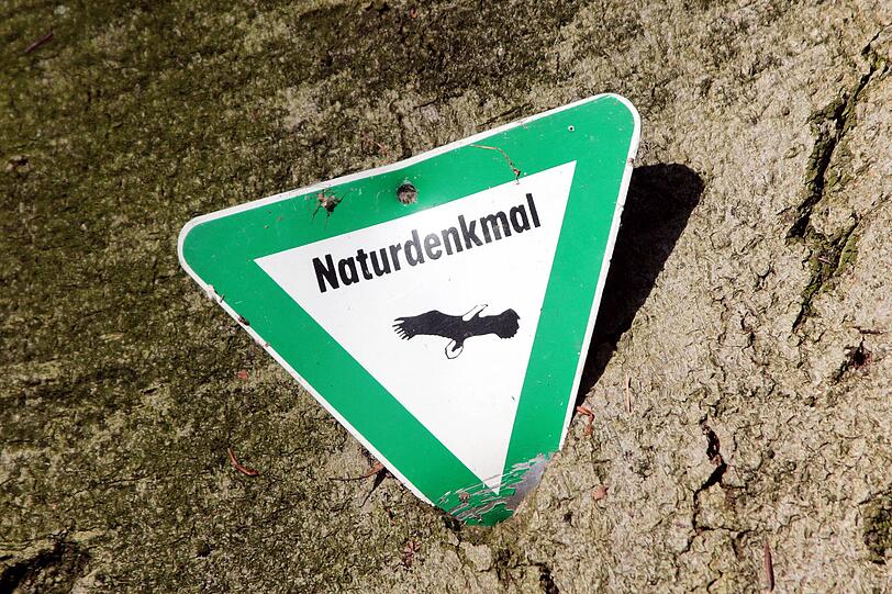 Naturdenkm&auml;ler, wie besondere alte B&auml;ume, stehen unter speziellem Schutz.