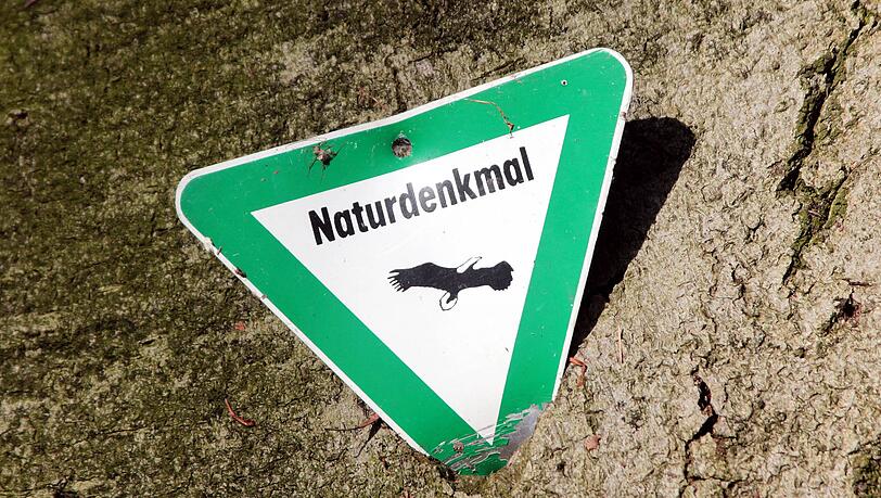 Naturdenkmäler, wie besondere alte Bäume, stehen unter speziellem Schutz. Naturdenkmäler, wie besondere alte Bäume, stehen unter speziellem Schutz.