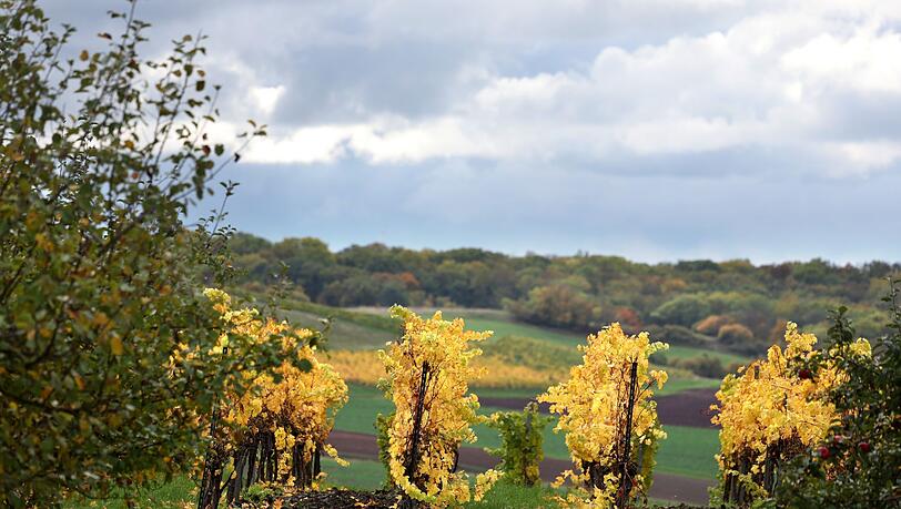 Wolken trüben den goldenen Herbst in Bayern in den kommenden Tagen.