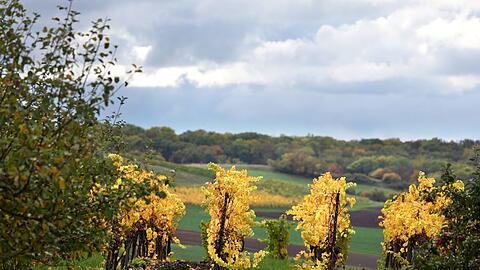 Wolken trüben den goldenen Herbst in Bayern in den kommenden Tagen.