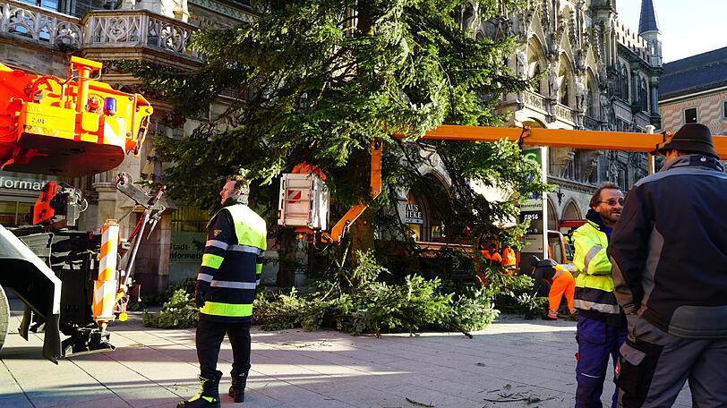 Untenrum wird auch noch ein bisschen ausrasiert...