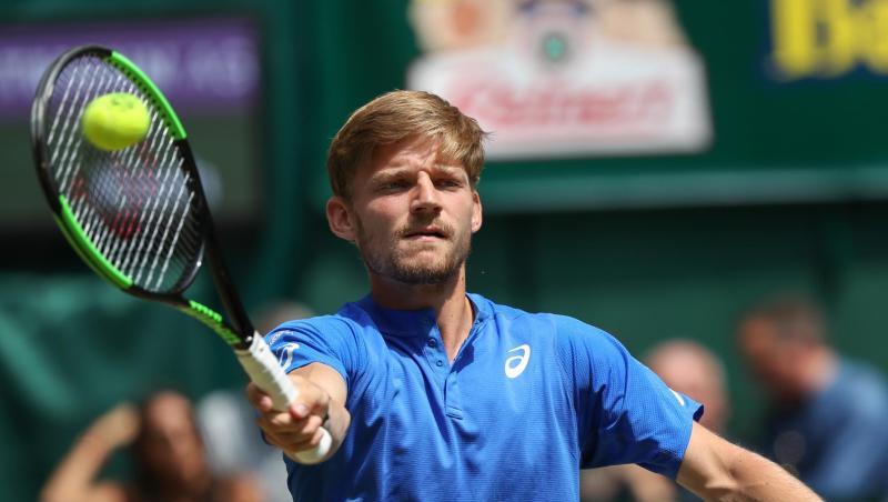 David Goffin steht in Halle im Endspiel.