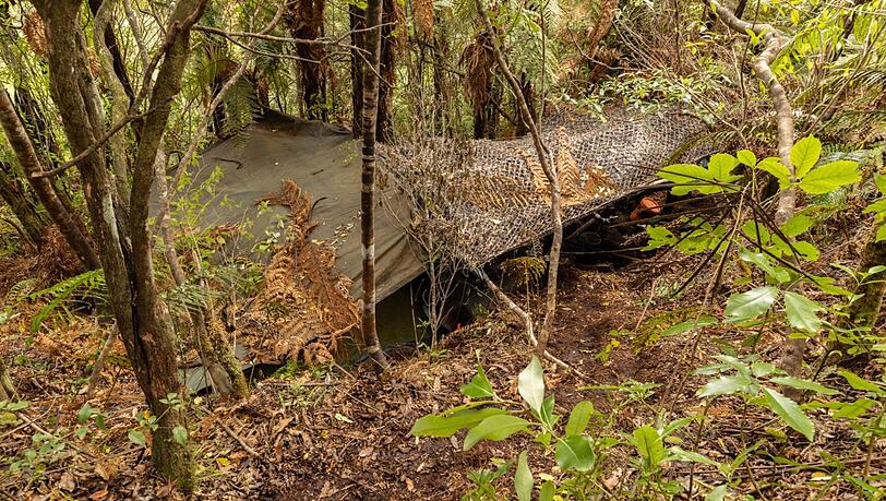Das Hauptlager wurde in einem dichten Wald auf der Nordinsel entdeckt.