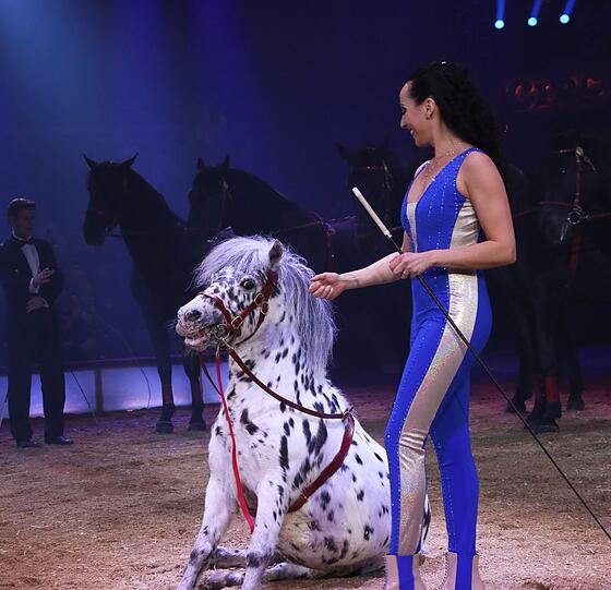 Krone-Chefin Jana Mandana Lacey-Krone bei der Pferdedressur.