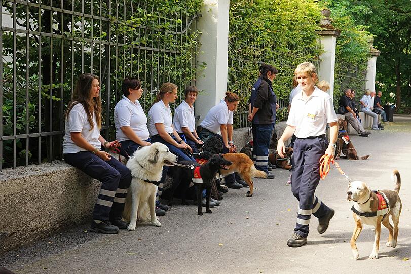 Unterwegs mit den Hunden
