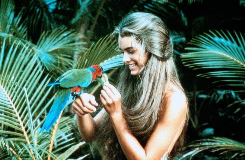 Brooke Shields feierte mit "Die blaue Lagune" ihren gro&szlig;en Durchbruch, den Ruf als Lolita des Kinos hatte sie bis dato aber schon weg.
