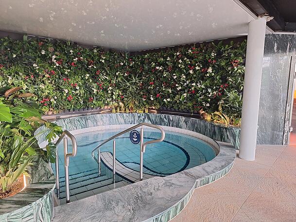 Die Therme hat an vielen Wänden Pflanzen angebracht, sogenannte "green walls". Die Therme hat an vielen Wänden Pflanzen angebracht, sogenannte "green walls".