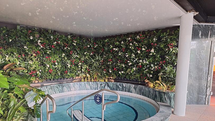 Die Therme hat an vielen Wänden Pflanzen angebracht, sogenannte "green walls". Die Therme hat an vielen Wänden Pflanzen angebracht, sogenannte "green walls".