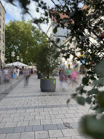 Wo auf diesem Bild die Pflanzentr&ouml;ge stehen, k&ouml;nnen sich die Gr&uuml;nen auch Gro&szlig;b&auml;ume vorstellen.