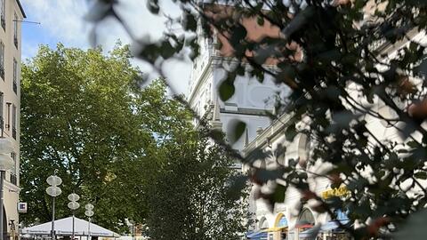 Wo auf diesem Bild die Pflanzentr&ouml;ge stehen, k&ouml;nnen sich die Gr&uuml;nen auch Gro&szlig;b&auml;ume vorstellen.