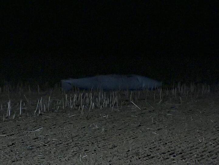 Die leer etwa 130 Kilogramm schweren Tanks sind bei Pansdorf im Kreis Ostholstein entdeckt worden.