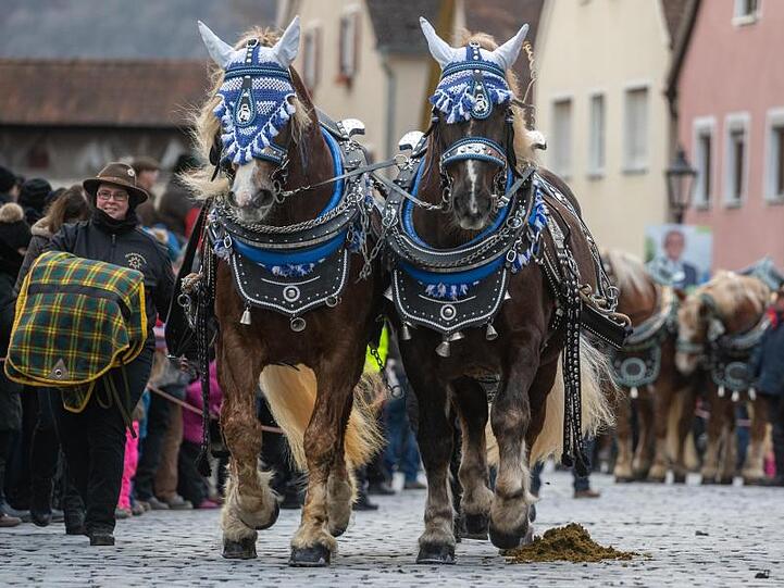 Pferde werden zum Berchinger Rossmarkt geführt. Der Berchinger Rossmarkt gilt als das größte Wintervolksfest im Freistaat.