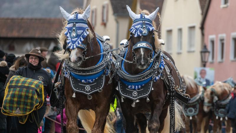 Pferde werden zum Berchinger Rossmarkt geführt. Der Berchinger Rossmarkt gilt als das größte Wintervolksfest im Freistaat.
