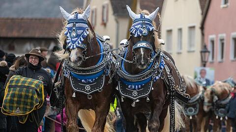 Pferde werden zum Berchinger Rossmarkt geführt. Der Berchinger Rossmarkt gilt als das größte Wintervolksfest im Freistaat.