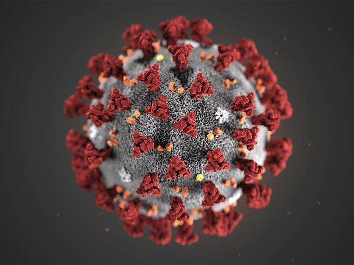 Eine Mikroskopaufnahme zeigt das Coronavirus. Foto: Uncredited/Centers for Disease Control and Prevention/AP/dpa/Archivbild