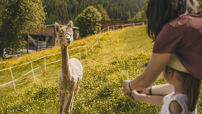 Der wichtigste Spielplatz ist und bleibt die Natur, das sehen auch die Tiere so. Der wichtigste Spielplatz ist und bleibt die Natur, das sehen auch die Tiere so.