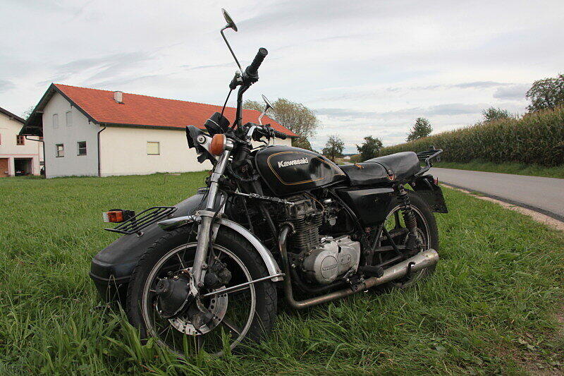 Wurde nicht alt: das drei Monate junge Pony in Garching an der Alz.