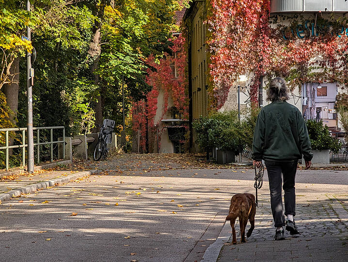 Gassi durch die herbstlichen Münchner Straßen.