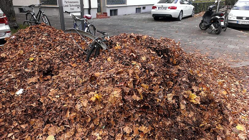 ... das Fahrrad darunter hat keine Chance...