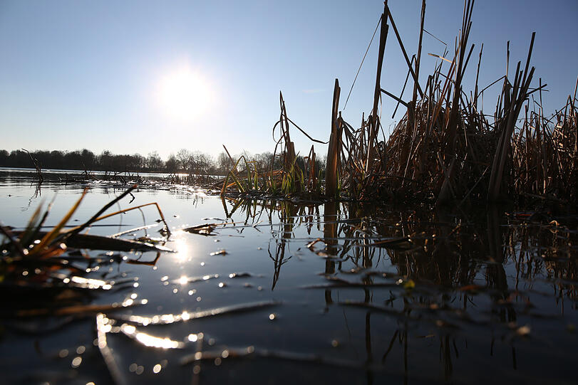 Der See aus der Froschperspektive - noch ohne Frösche allerdings.