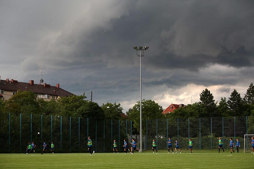 Der Tag der Löwen-Rettung. Die Bilder.