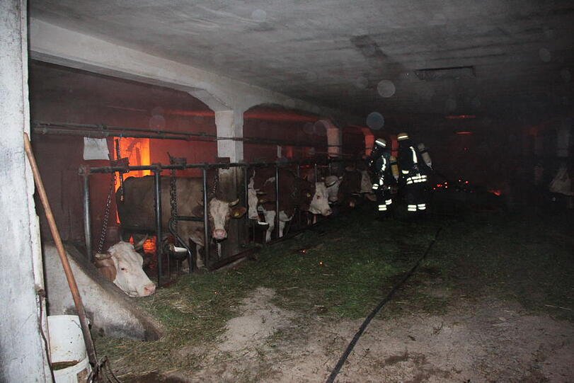 Die Feuerwehr versuchte die Tiere aus einem Stall zu retten.