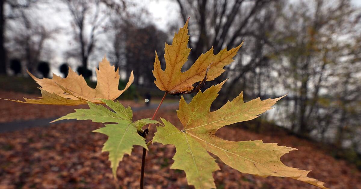 DWD-Hitze-und-Schnee-im-Herbst-2025-aber-keine-Rekorde