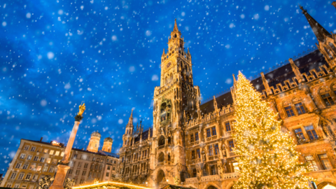 Auf dem Marienplatz steht der Christbaum seit dem 6. November, doch viele Personen haben ihn auch schon zu Hause aufgestellt?
