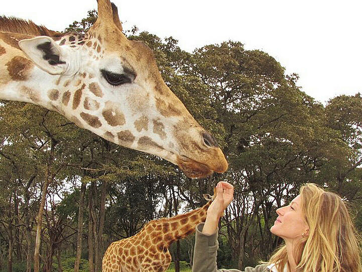 Gisele Bündchen füttert auf ihrem Instagram-Schnappschuss eine Giraffe