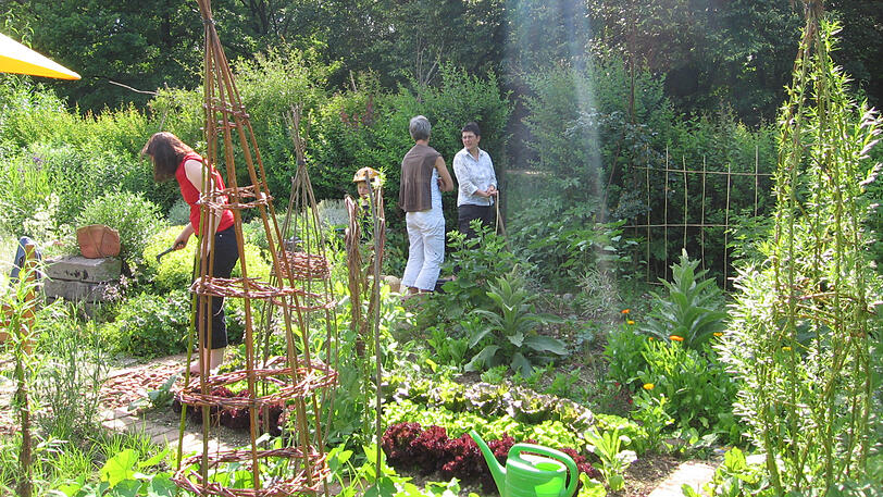 Der ÖBZ-Garten.