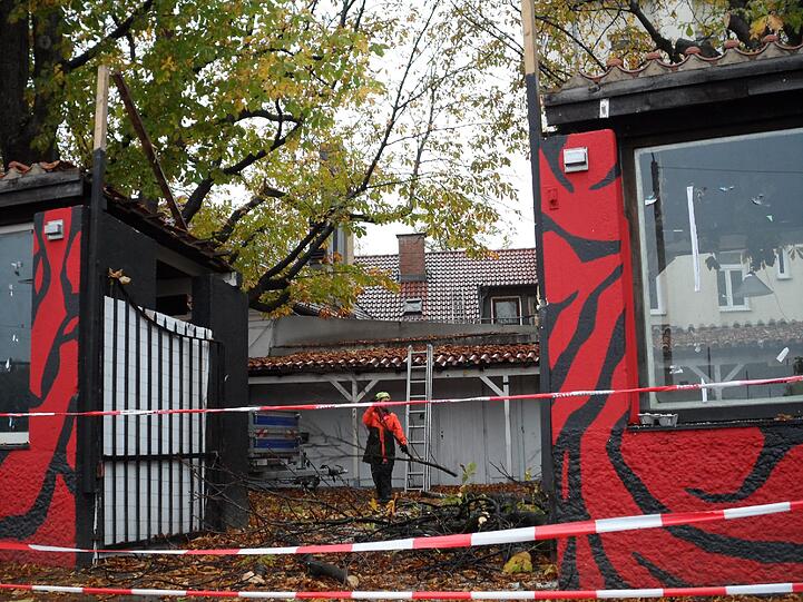 Noch schneiden die Arbeiter erst kleinere Äste aus den Bäumen an der Fraunhoferstraße. Bald fallen die Bäume komplett. Trotz aller Proteste.